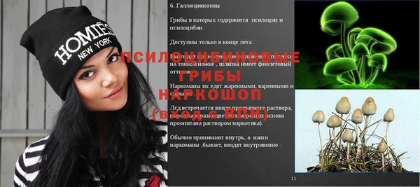 герыч Зерноград