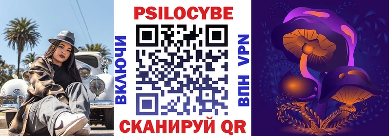 Псилоцибиновые грибы Cubensis  Купить закладки  Грязовец 