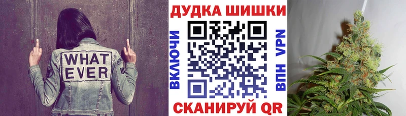 Каннабис сатива  Купить закладки  Грязовец 